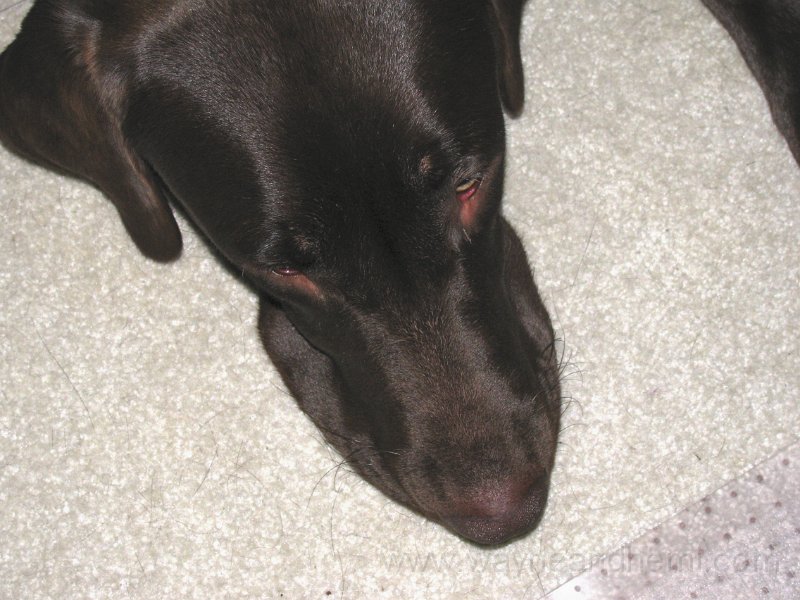 2009_10_01 Hemi_0799.JPG